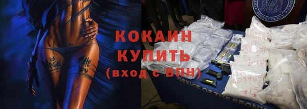 стафф Богданович