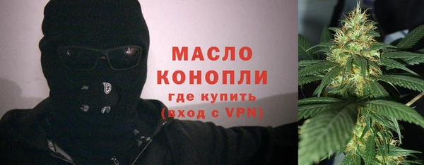 гидра Богородицк