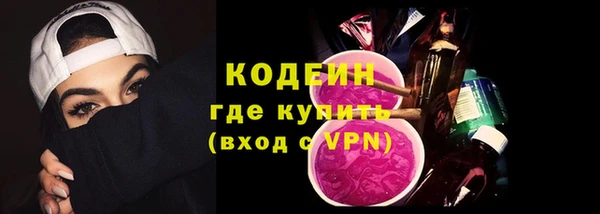 гидра Богородицк