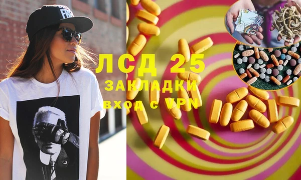 прущие грибы Пересвет