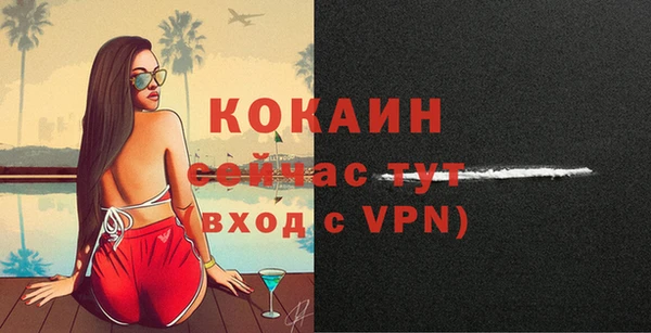 стафф Богданович