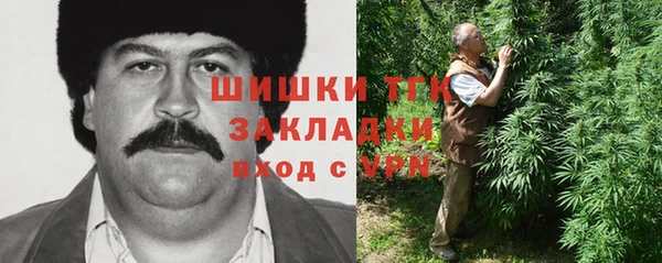 гидра Богородицк