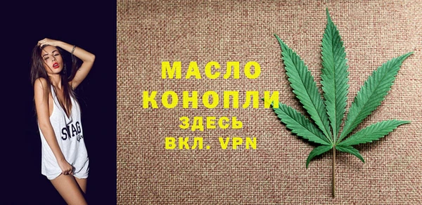 гидра Богородицк