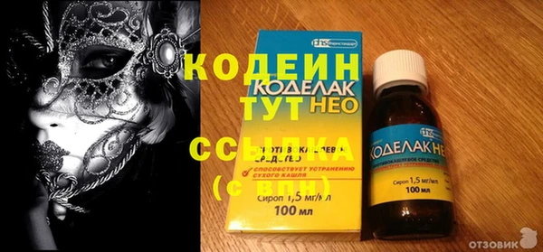 гидра Богородицк
