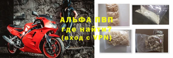 стафф Богданович