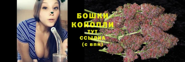 гашик Белоозёрский