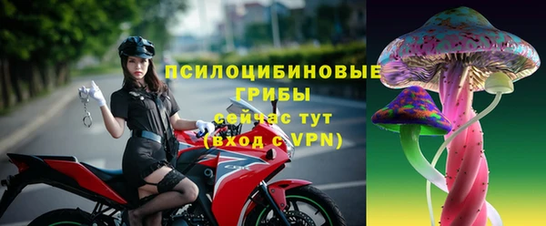 гидра Богородицк